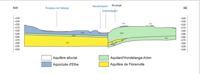 Figure  3.4  :  Coupe  géologique  montrant  le  contraste  d’épaisseur  de  part  et  d’autre  de  la  faille d’Arlon- Wolkrange dans la région de Wolkrange (d'après Belanger et al., 2002)