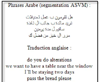 Figure 9: Extrait de corpus d’apprentissage avec la segmentation ASVM des phrases Arabe 