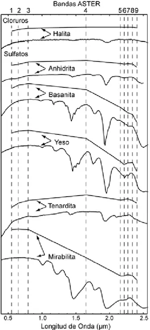 Figura 3a Espectros de la librería espectral  del USGS comparados con los espectros  remuestreados en función del captor ASTER