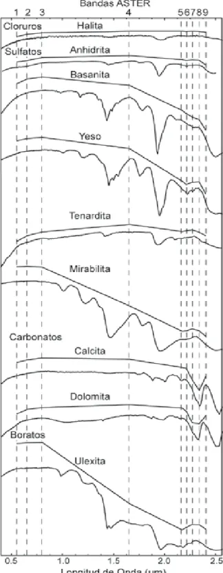 Figura 7: Espectros provenientes de la libreria espectral de la USGS comparados con los espectros remuestreados en función de las bandas del captor ASTER.