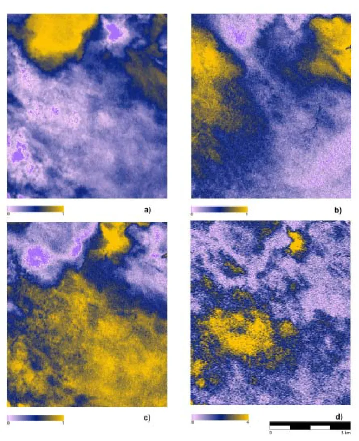 Figura 10: Imagenes resultantes de la desmezcla espectral. a) Distribución de la abundancia de mirabilita, b) yeso-1, c) yeso-2 y d) error del método.