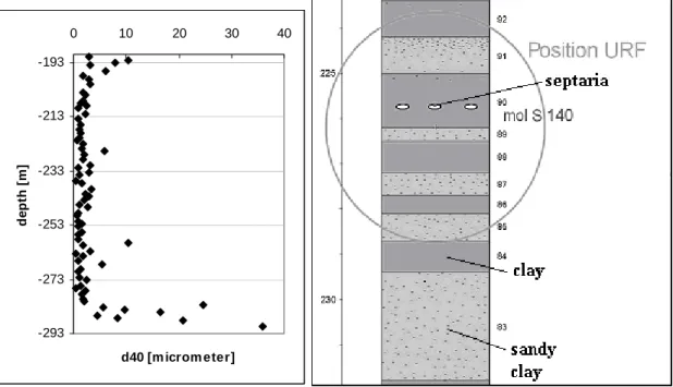 Figure 6. Grain size d40 of the Boom Clay  in the Mol-1 borehole. 