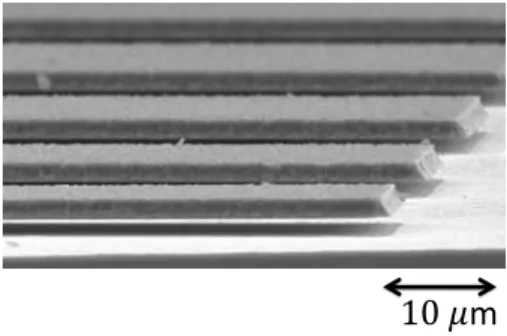 Figure 1.1: Samples of micro-beams, courtesy of IMT institute in Bucharest