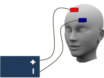 Fig. 1 – Sche´ma du placement des e´lectrodes (rouge : anode ; bleue : cathode) pour une stimulation du cortex moteur primaire droit.