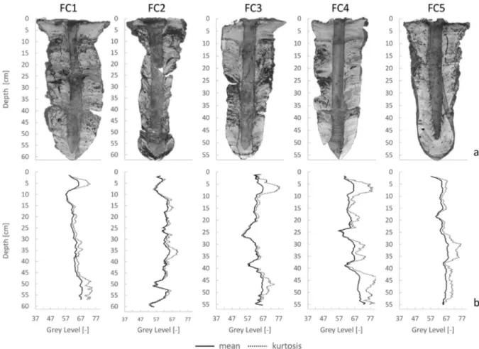 Fig. 6c shows an example of the segmentation into the 3 selected RSUs of a vertical cross section of FC4