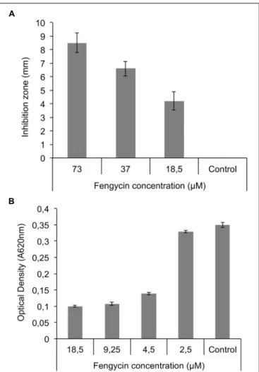 FIGURE 6 | Fengycin effect on mycelial growth and sporulation of R. variabilis. (A) Effect of pure fengycins on R