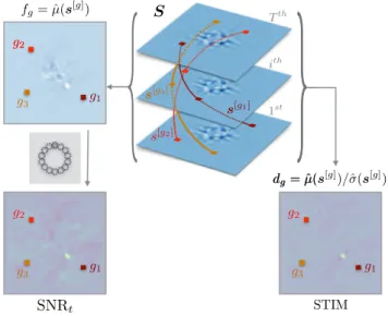 Figure 5. Illustrative views of the computations of both the SNR t and the STIM maps. We depicted three arbitrary trajectories s [g i ] and the corresponding elements g i of each frame to illustrate the notations used in the paper