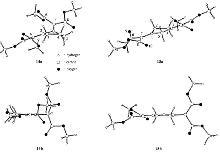 Figure 1. Views of the optimized energy-minimum conformations of the 1,2- and 1,3-disubstituted isomers 14a,b and 18a,b, obtained by the ab initio MINI-1 calculations