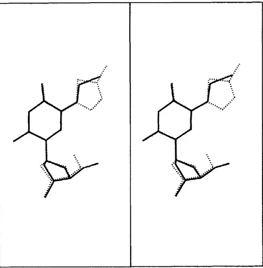 Fig. 7. Stereoview of the superimposition of the 5-(5-chlorothien-2-yl)-2'-deoxyuridine (I) and BVDU (VI)