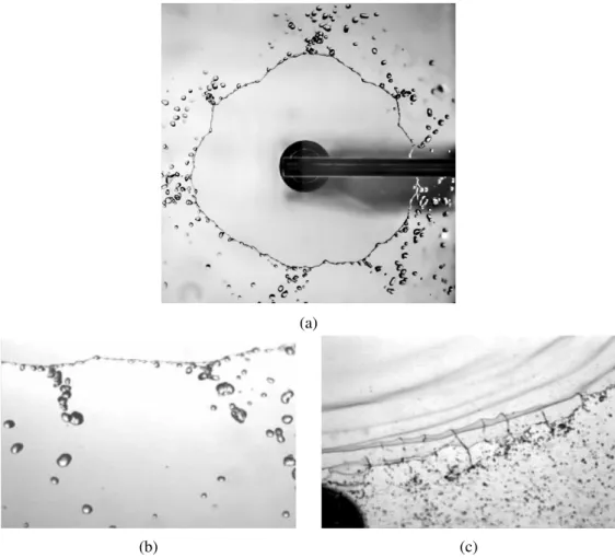 Figure 2.1: A free Savart liquid sheet resulting from the impact of a round jet on a disk is presented