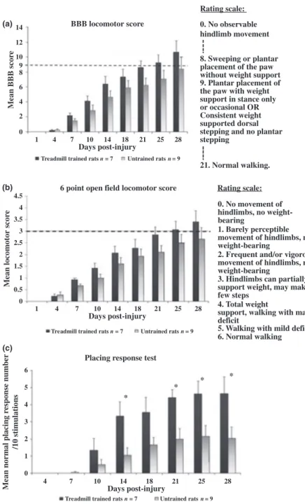 Fig. 5 Effect of treadmill training on loco- loco-motor recovery. Both scales (BBB and  6-point open-field, respectively a and b) show the same recovery evolution, with trained rats reaching higher scores than untrained ones, corresponding to weight-suppor