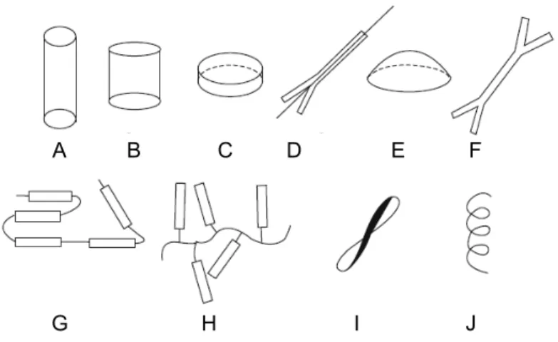 Figure 1.10 – Forme commune des molécules pouvant former un LC. En (A) nous avons une tige, en (B ) une molécule en forme de latte, en (C ) un disque, en (D ) une queue fourchue, en (E ) un bol, en (F ) une double queue fouchue, en (G) et (H ) nous avons 2