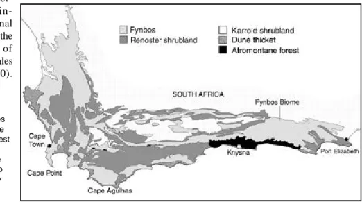 Figure 1. The Fynbos Biome showing various shrubby vegetation types within this biome and the strip of afromontane forest that forms an enclave between fynbos and the coast near Knysna (map adapted from that kindly supplied by Thomas Köhler, Redhouse).