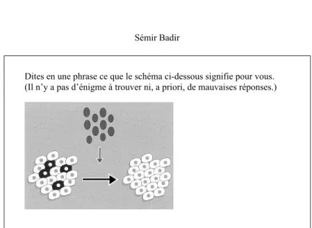 Fig. 1 : Questionnaire d’expérience