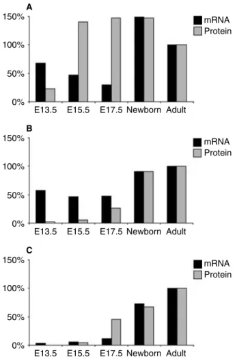 Fig. 1. Comparative ontogeny of the chloride channel ClC-5, the E1 subunit of the vacuolar H + -ATPase, and the water channel AQP1 in mouse kidney