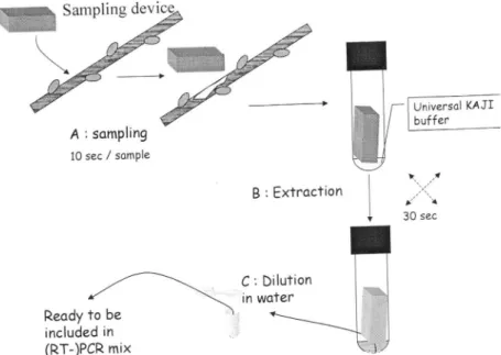 Figure  4:  Description  of  the  sampling  and  sample  preparation