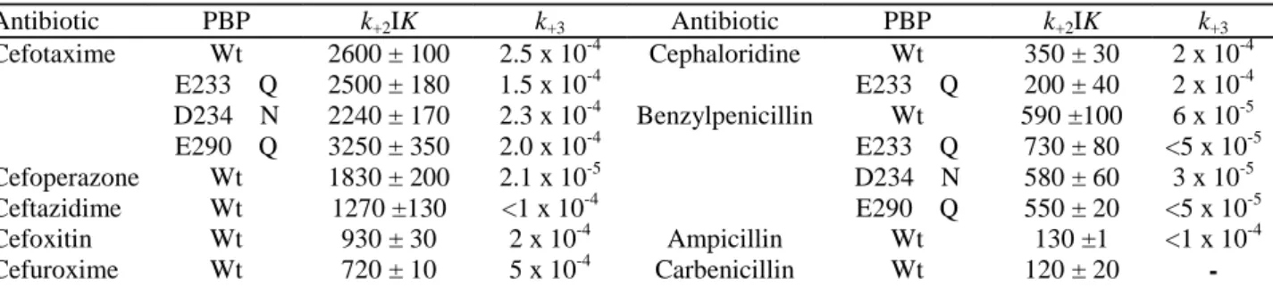 Table 1. Interaction between β-lactam antibiotics and non-mutated (Wt) and mutated His tag (M46-N884) PBP1bγ
