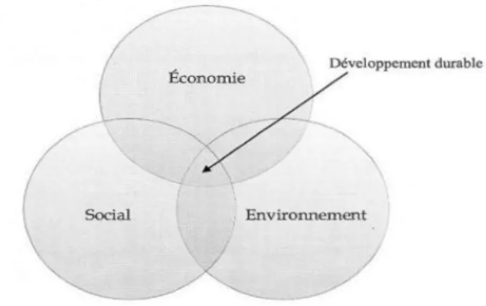 Figure 2 : Les trois piliers du développement durable. 