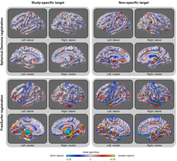 Figure 2.7: A study-specific template (target for the registration) caused less systematic accumulation of areal quantities across the brain when compared with a non-specific  tem-plate