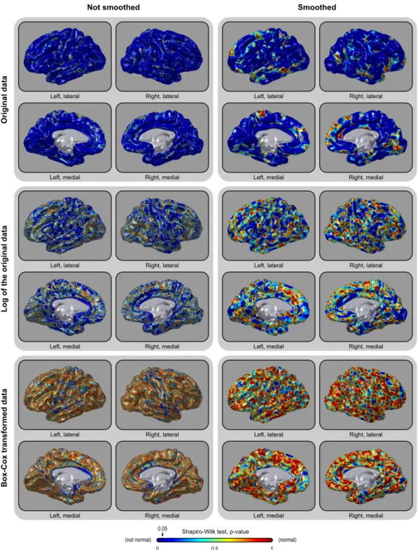 Figure 2.8: The area of the cortical surface is not normally distributed (upper panels)
