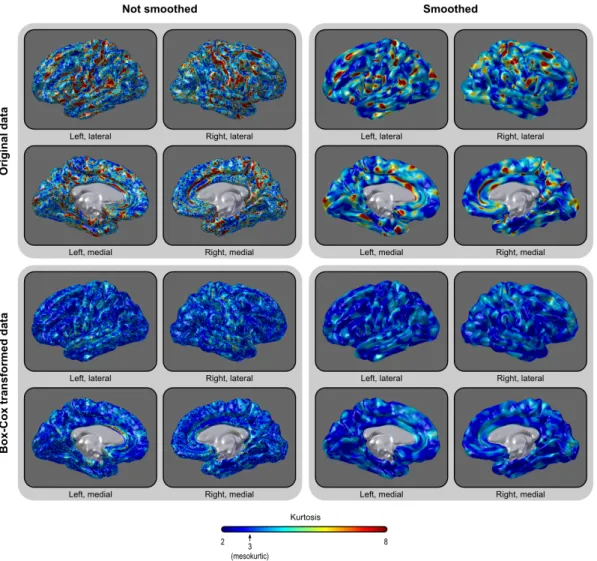Figure 2.12: Maps of the kurtosis of the areal data, before and after the Box–Cox trans- trans-formation, and with and without smoothing