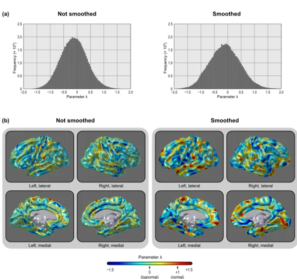 Figure 2.14: Distribution of the parameter λ of the Box–Cox transformation across the brain: (a) histogram and (b) spatial map