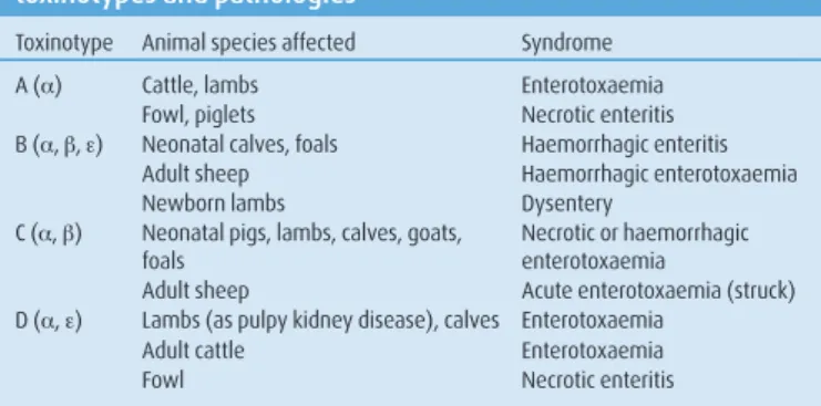 TABLE 3: Publications on cattle enterotoxaemia since 1980 (previous references were listed in Manteca and others 1994) showing the  pathology, toxinotype, type of animal and country reported