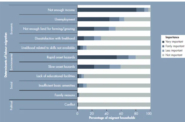Figure 5. Determinants of labour migration and their perceived importance in the migration decision