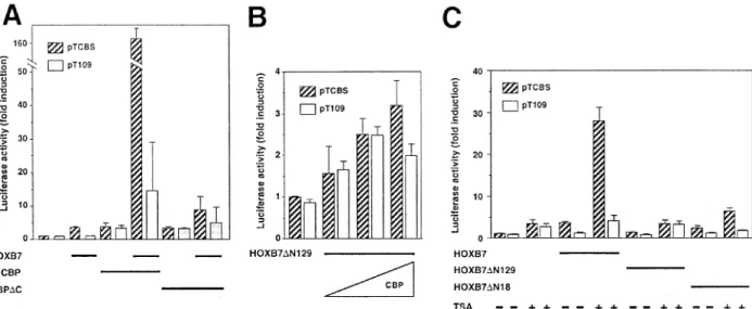 Figure 5 Interaction between the HOXB7 and CBP proteins by Mammalian two-hybrid system