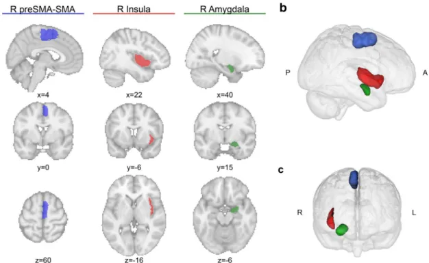 Fig. 2    Outline of the three ROIs used for the example procedure. a  The three columns highlight the R preSMA–SMA (blue, left), R  amygdala (green, middle), and R insula (red, right) in sagittal,  coro-nal, and axial (top to bottom) sections