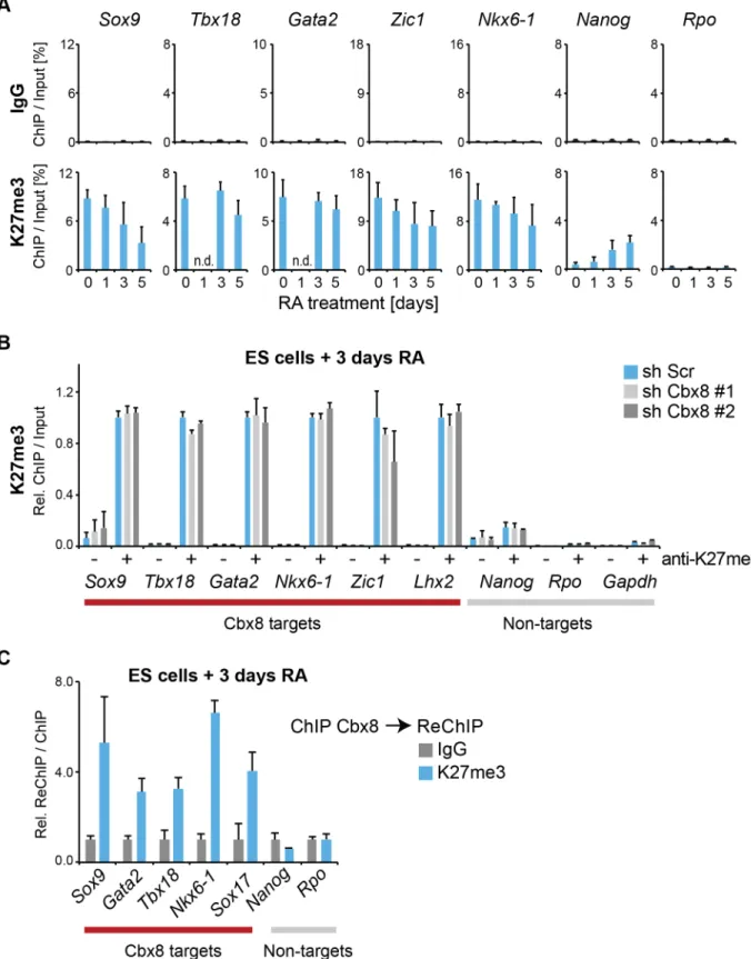 Fig. 7. Cbx8 binds to persisting K27 methylation during differentiation. (A) Trimethylation of lysine 27 of Histone H3 was analyzed by ChIP during a time course of RA-induced differentiation of ES cells