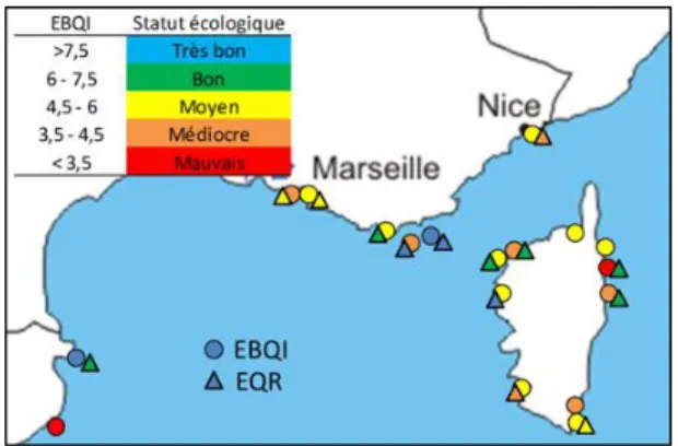 Figure 2 : Comparaison du M-AMBI et du BeMSI, et sur l’évolution temporelle des deux indices appliqué à l’émissaire de  Calvi 