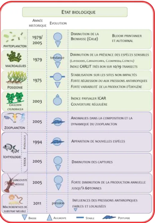 Figure 10 : Tendances évolutives pour l’état biologique 