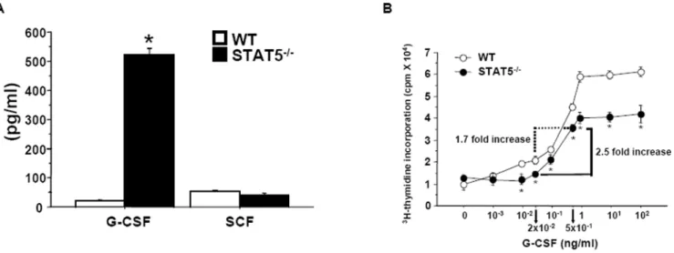 Figure 3. Association between increased granulopoiesis and elevated G-CSF production in STAT5 2/2 mice