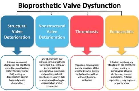 Figure 1: Causes of bioprosthetic valve dysfunction.
