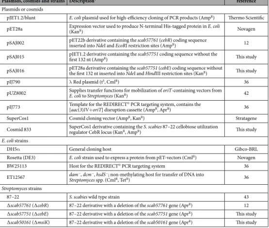 Table 1.  Bacterial strains, plasmids, and cosmids used in this study.  † Cml R , chloramphenicol resistance; 
