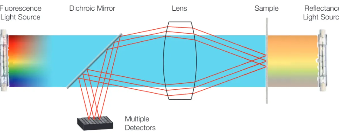 Figure 1.2: Principle of wide-field microscopy. The light sources represent two inde- inde-pendent configurations