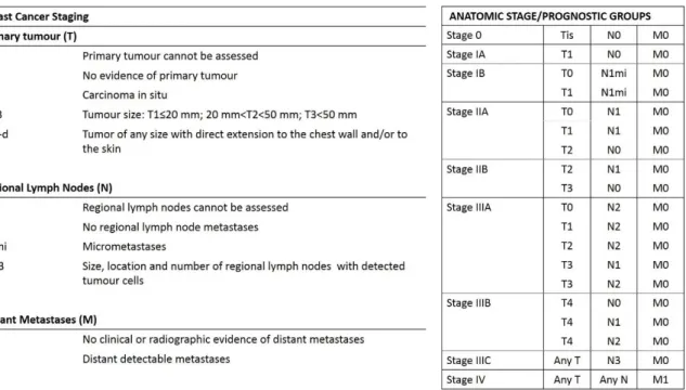 Figure I 2. TNM staging system for breast cancer. Figure adapted from “AJCC. Cancer staging Atlas 7 th edition”.