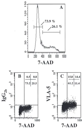 Figure 5. Changes of VLA-4 and VLA-5 expression in CD34 ⫹  cells dur- dur-ing ex vivo culture