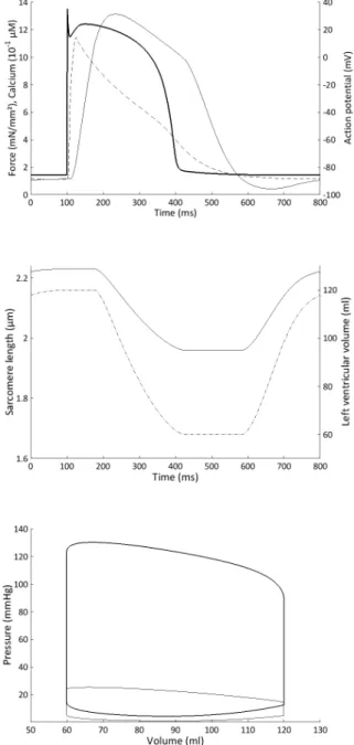 Fig. 5. Hemodynamic variables. The top two curves rep- rep-resent the flow through the aortic valve (normal) and through the pulmonary valve (dotted) during one heartbeat