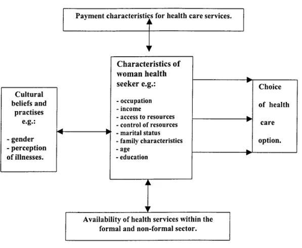 Figure 1.1: Conceptual framework. 