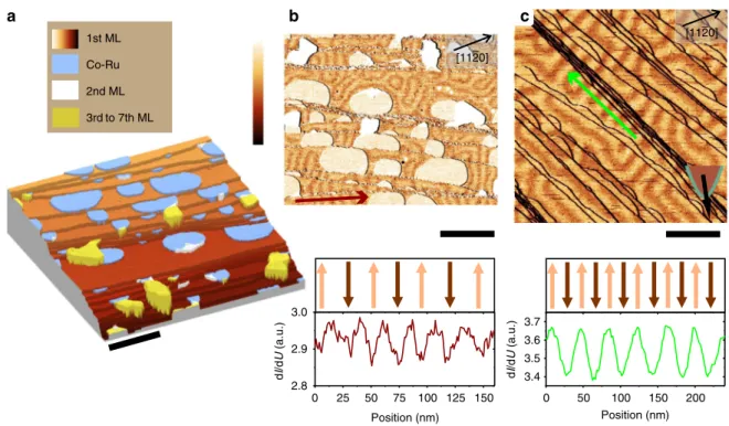 Fig. 1 Topography and magnetic structure of Co ﬁ lms on Ru(0001). a STM topography of 1.1 ML Co ( I = 10 nA, U = − 320 mV, scale bar is 100 nm, height color scale goes from 0 (dark contrast) to 4.1 nm (bright contrast))