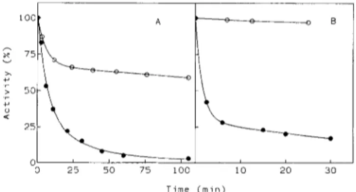 Fig. 1. Effect  of  assay temperature on amylolytic activity.  Specific  activities  of A