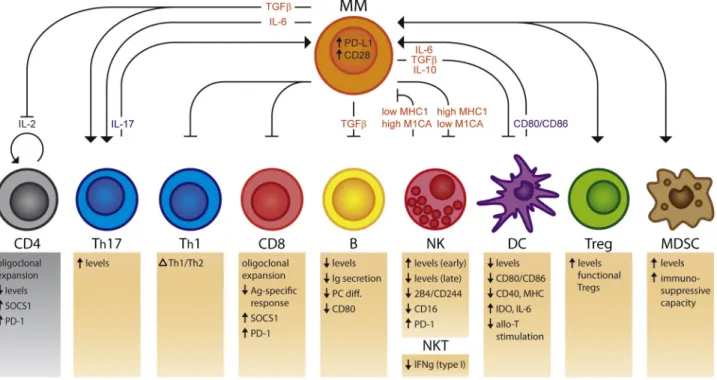 Fig. 1. Immune cell alterations in multiple myeloma. Multiple myeloma causes several immune cell alterations, leading to a general immune paresis