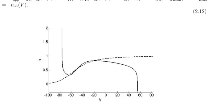 Figure 2.6: Nullclines of the reduced Hodgkin-Huxley model in the phase plane (V, n).
