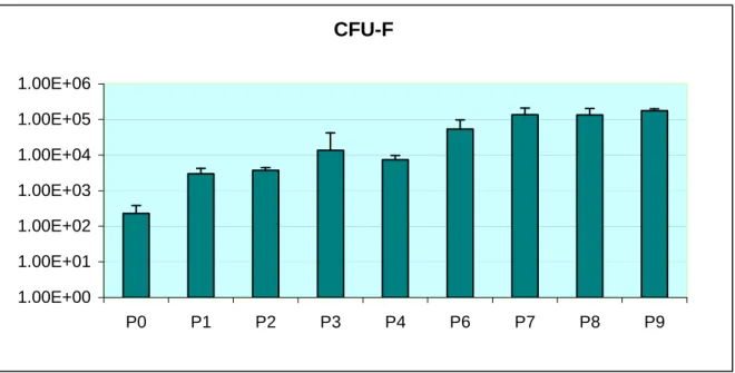 Figure  5:  A.  Number  of  CFU-F  formed  at  each  passage  starting  with  10 6   marrow  mononuclear cells
