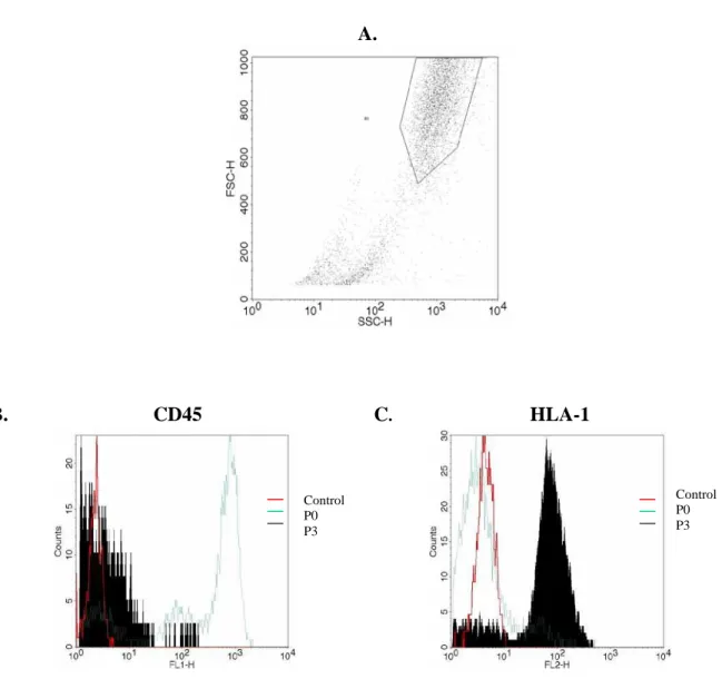 Figure  1:  Flow  cytometry  analysis  of  hMSC  A.  Scatter  plot  depicting  the  FSC high   SSC high MSC  population  B
