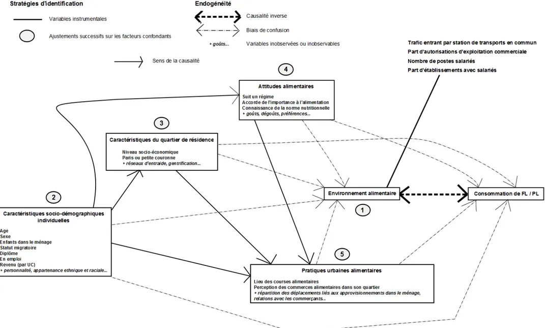 Figure 2. Modèle théorique des effets de quartier sur la consommation de fruits et légumes / produits laitiers : graphe acyclique orienté