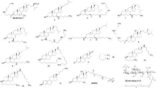 Figure 1. Structures of the aminosterol compounds used in this study and moenomycin A