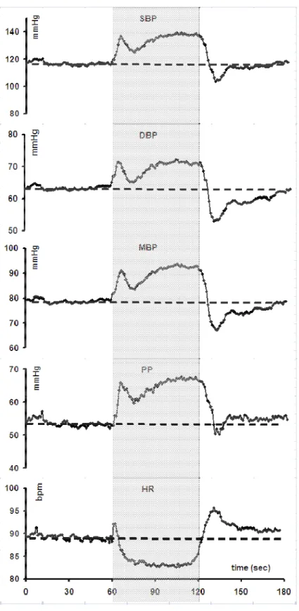 Figure 1 : Mean changes in systolic (SBP), diastolic (DBP), and mean blood pressure (MBP),  pulse pressure (PP) and heart rate (HR) measured continuously with a Finapres® during a  standing-squatting (grey zone)-standing test in 40 healthy subjects (20 men